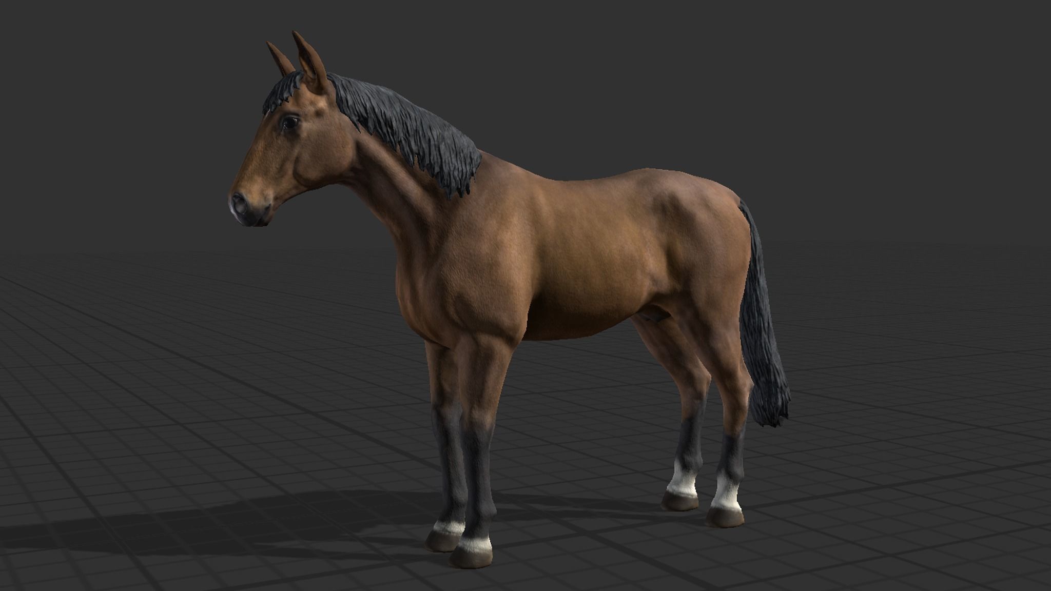 Horse Family Low-poly 3D model_5