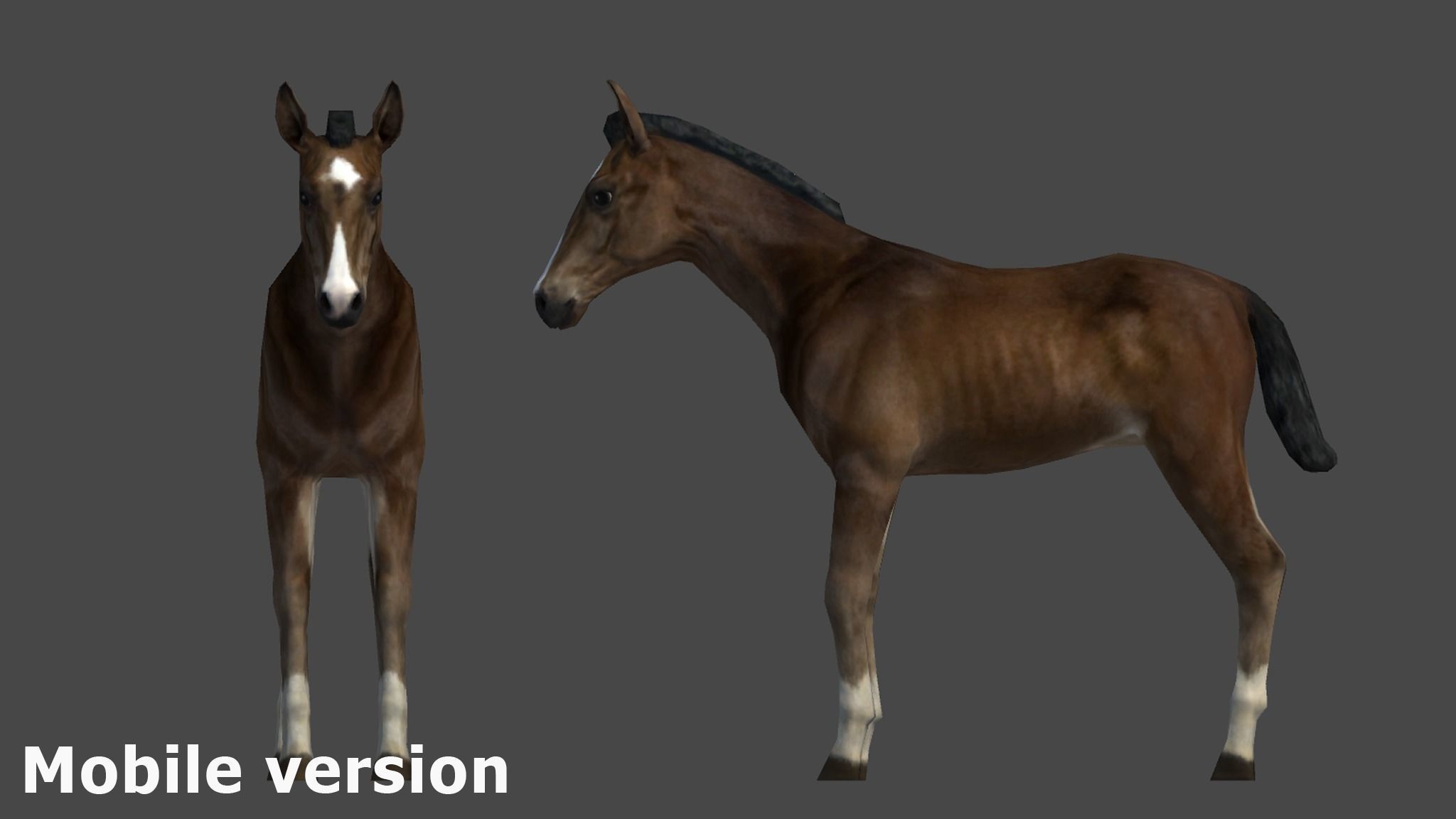 Horse Family Low-poly 3D model_21