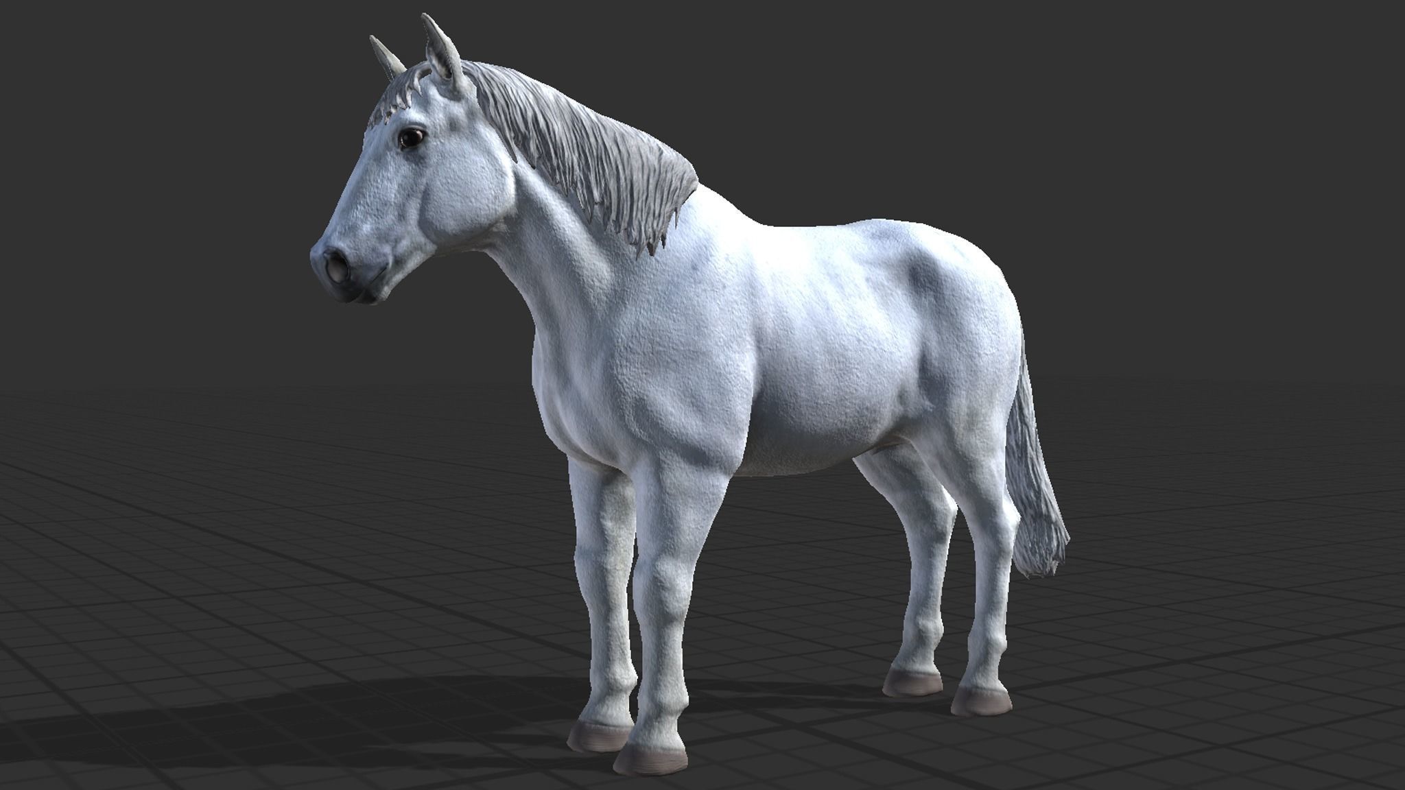 Horse Family Low-poly 3D model_12