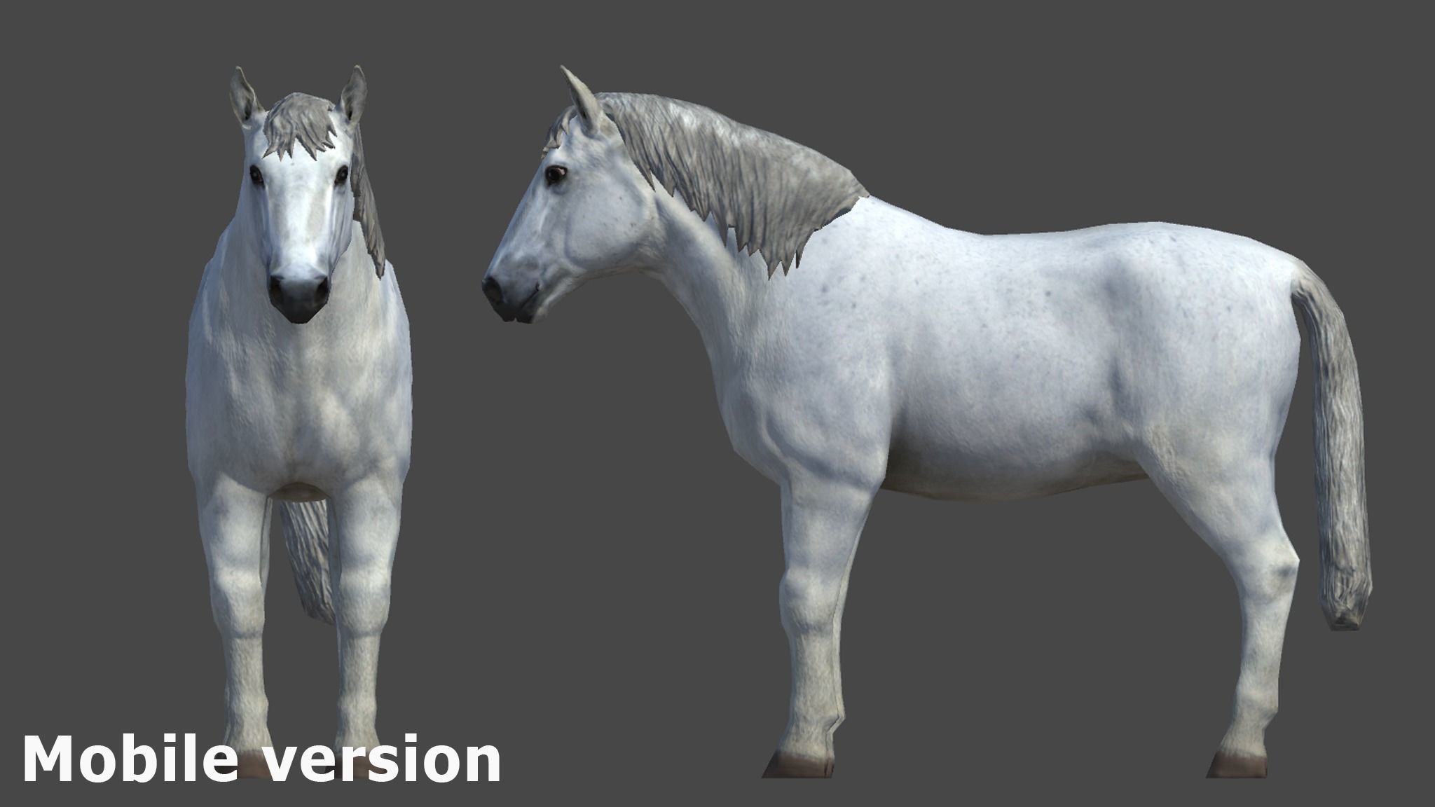 Horse Family Low-poly 3D model_16
