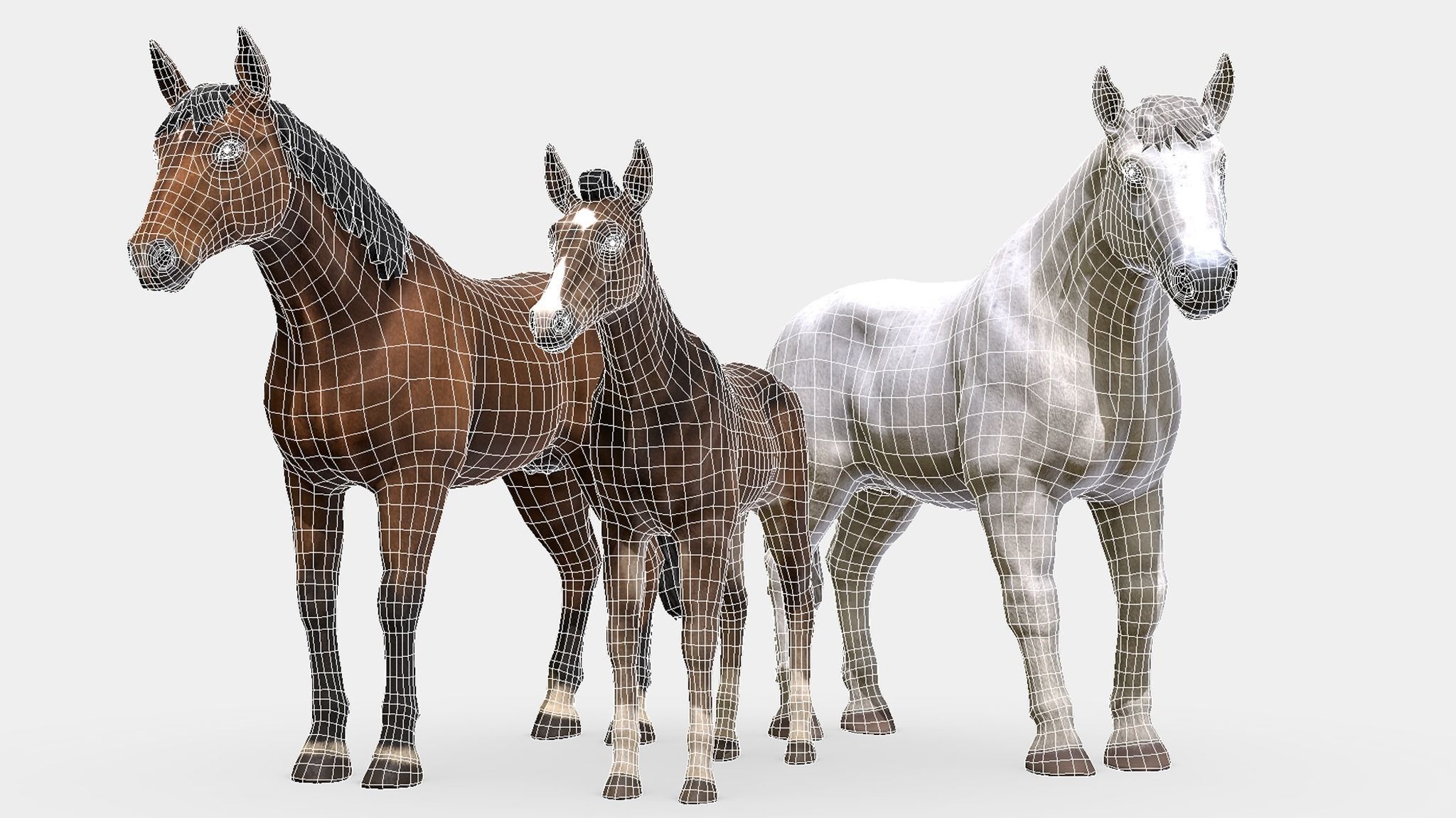 Horse Family Low-poly 3D model_2