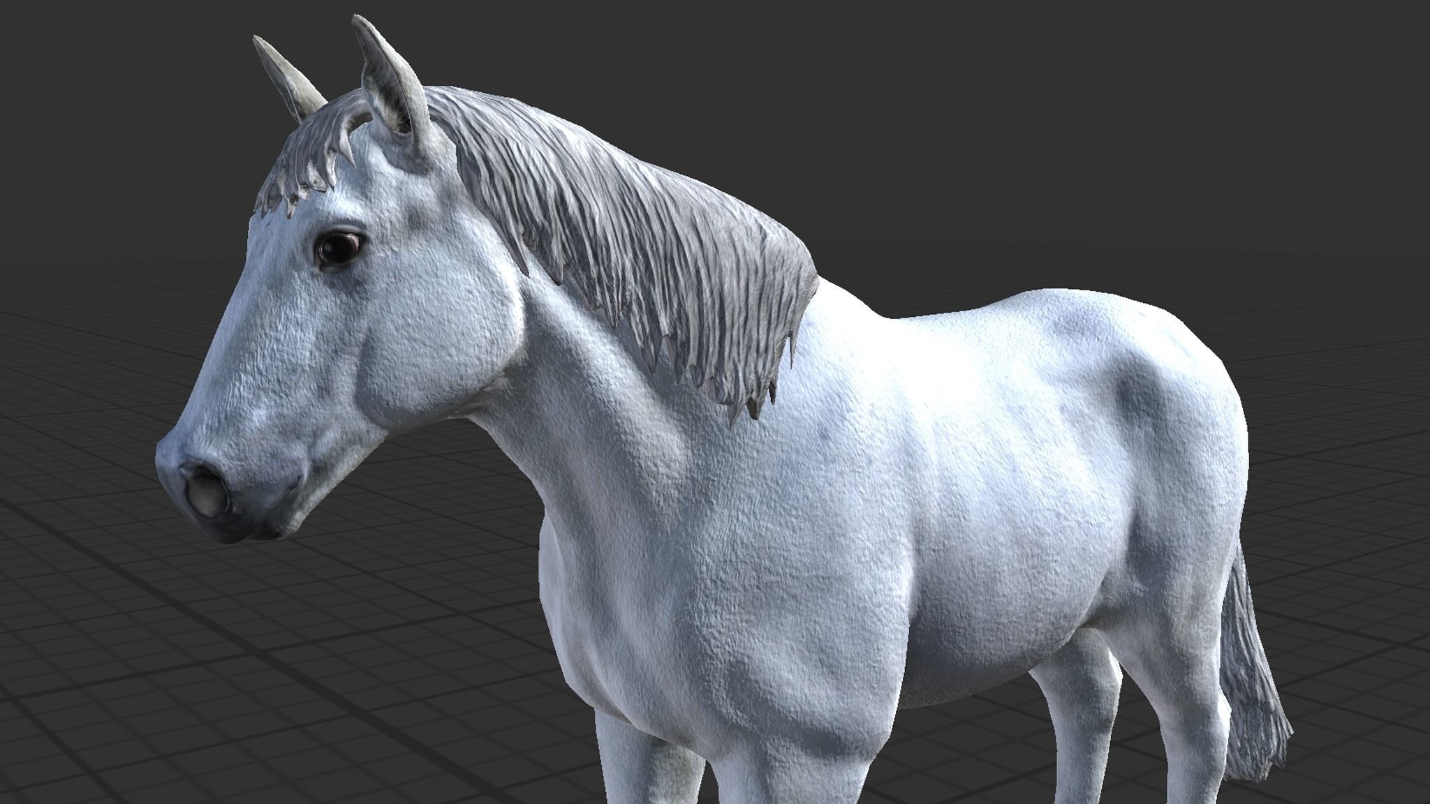 Horse Family Low-poly 3D model_13