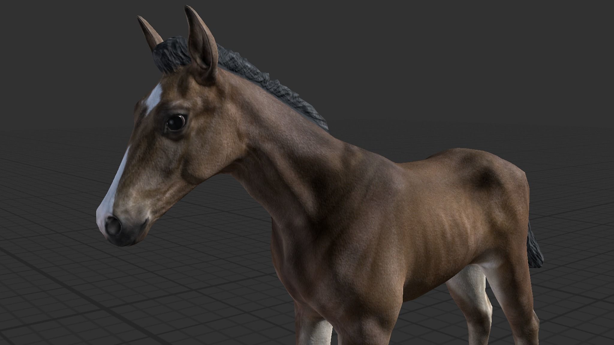 Horse Family Low-poly 3D model_20