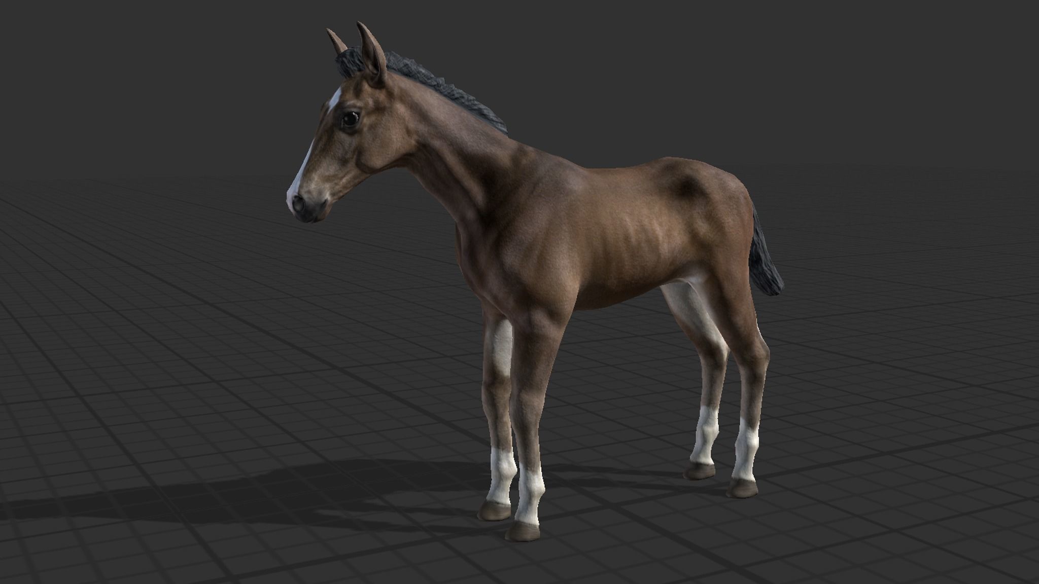 Horse Family Low-poly 3D model_19
