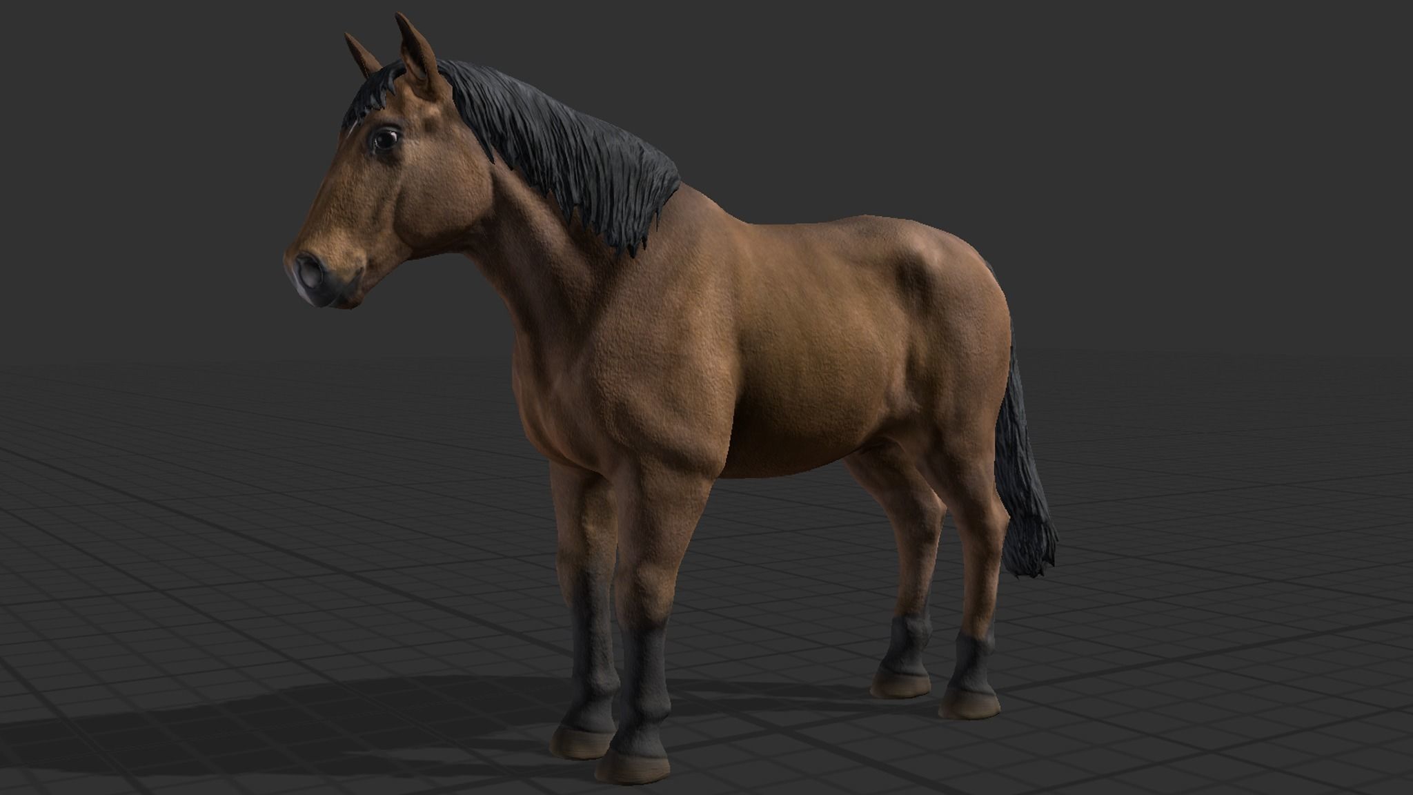Horse Family Low-poly 3D model_14