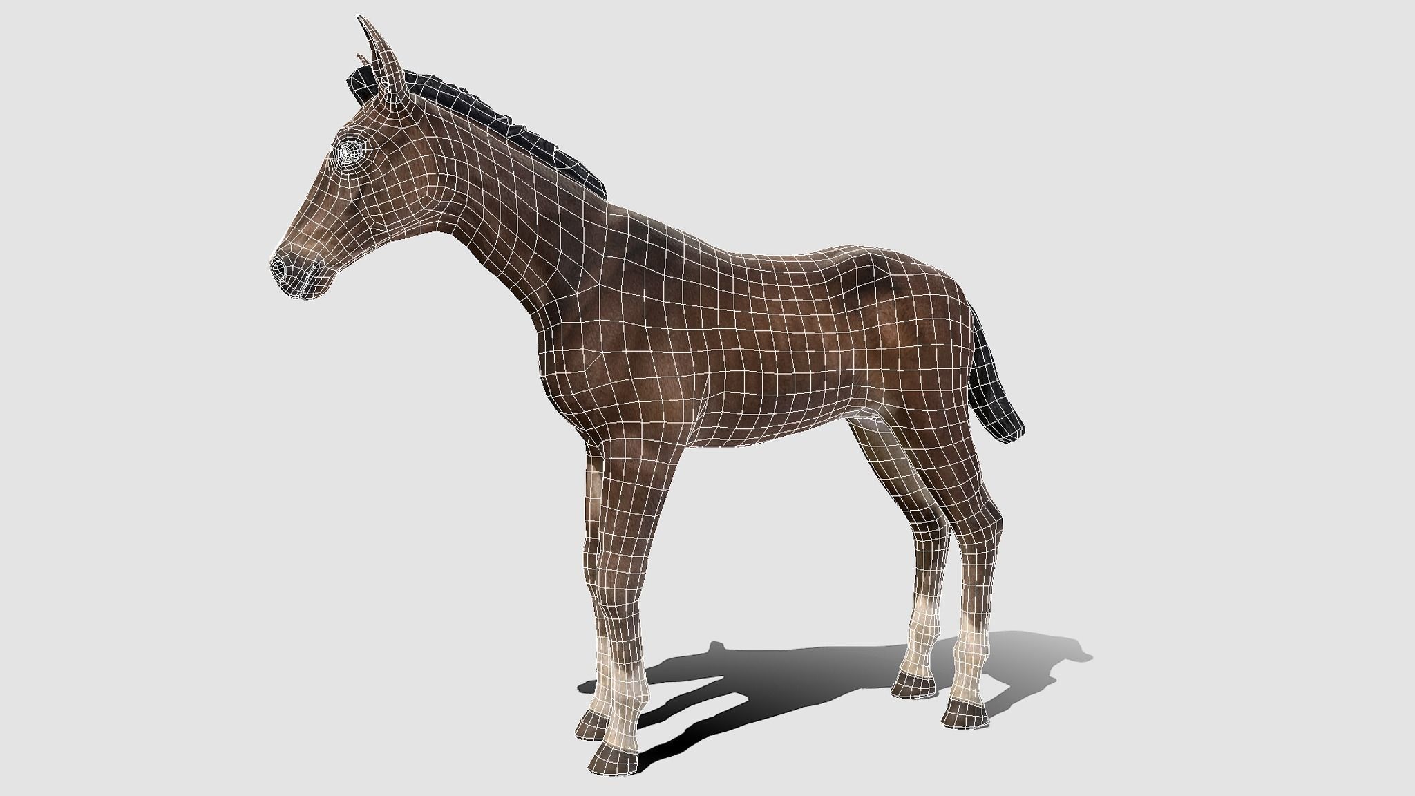 Horse Family Low-poly 3D model_18