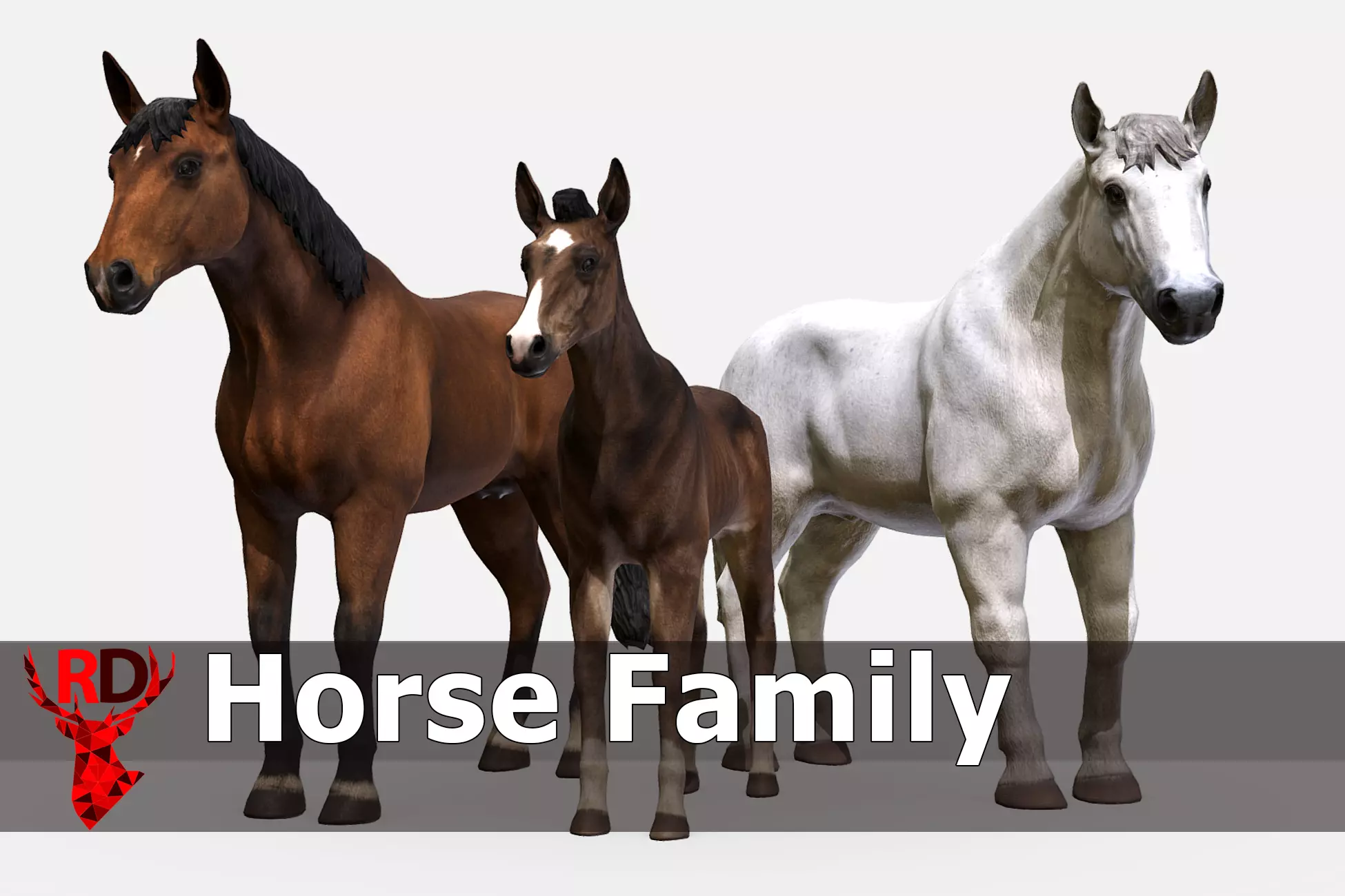 Horse Family Low-poly 3D model_0