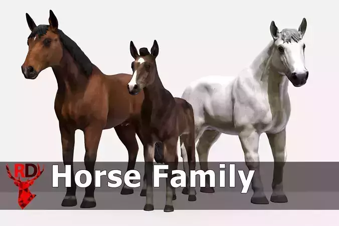 Horse Family Low-poly 3D model