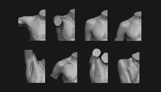 Shoulder Anatomy Set 3D print model