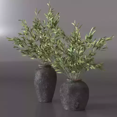 Olive branches in vase 3D model