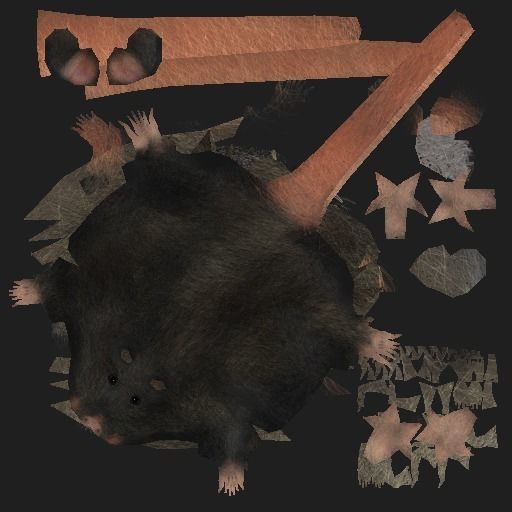 Low Poly Rat Model Low-poly 3D model_10