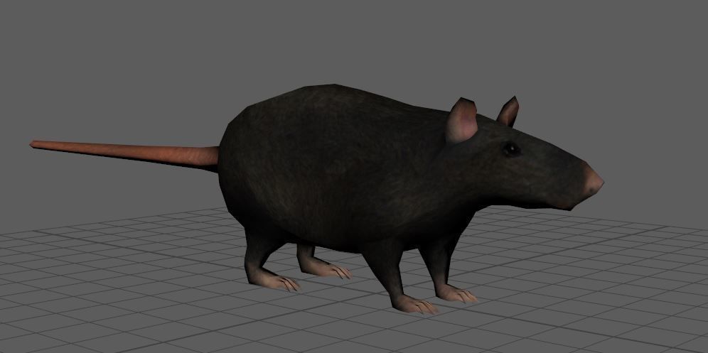 Low Poly Rat Model Low-poly 3D model_4