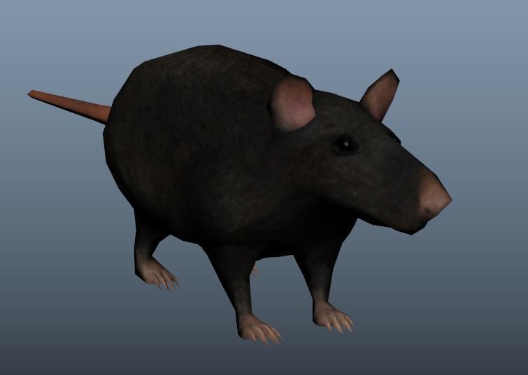 Low Poly Rat Model Low-poly 3D model_9