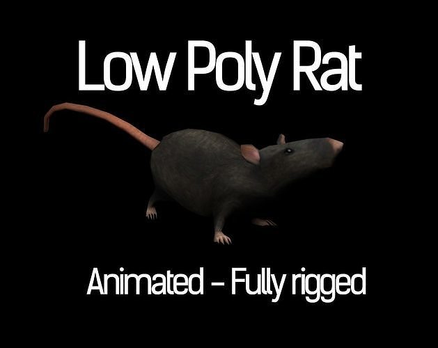 Low Poly Rat Model Low-poly 3D model