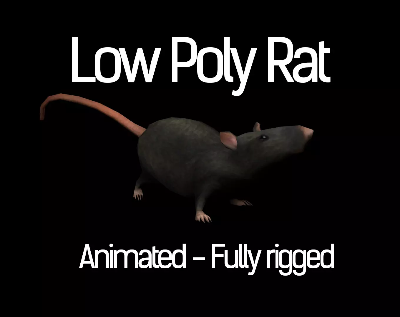 Low Poly Rat Model Low-poly 3D model_0