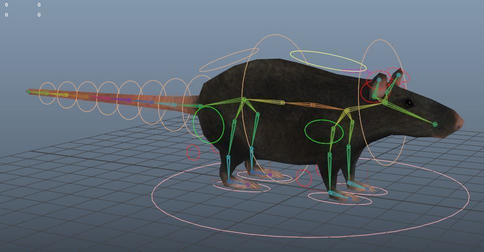 Low Poly Rat Model Low-poly 3D model_3