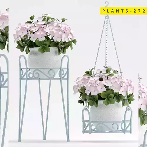plants 272