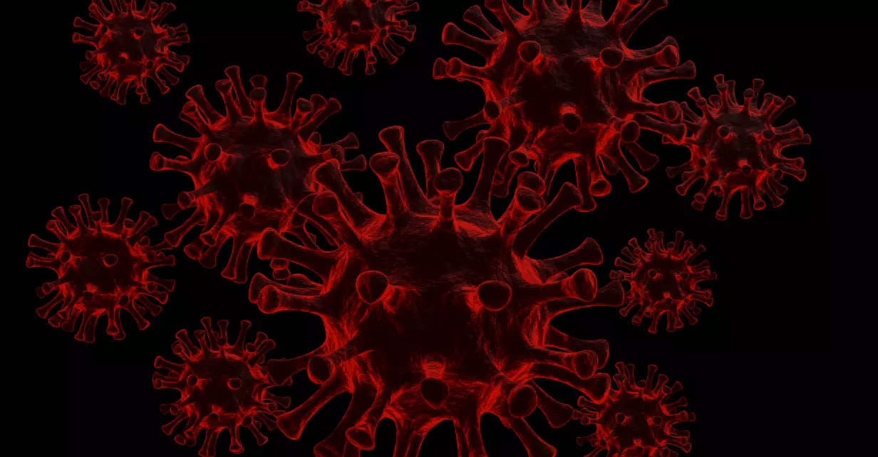 Corona virus 3D model_0