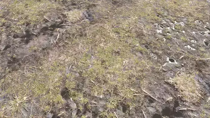 Dirty Terrain PBR Pack 2