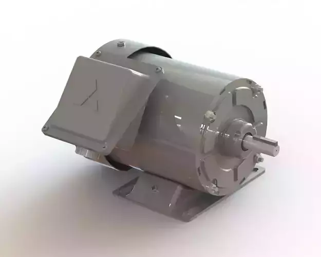Electric Induction Motor 