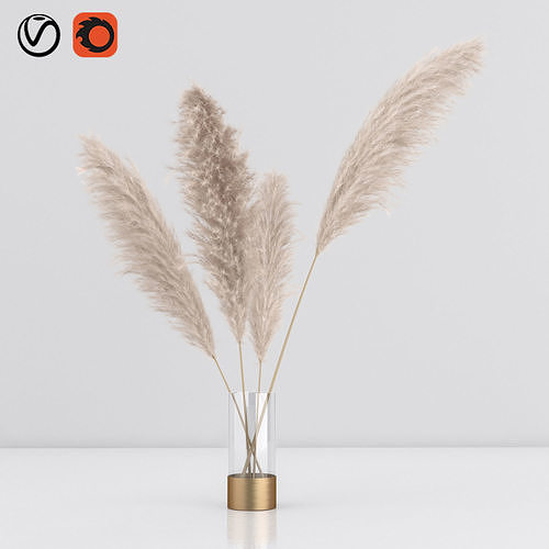 pampas in vase 01 3D model