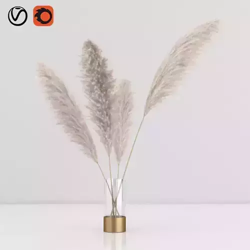 pampas in vase 01 3D model