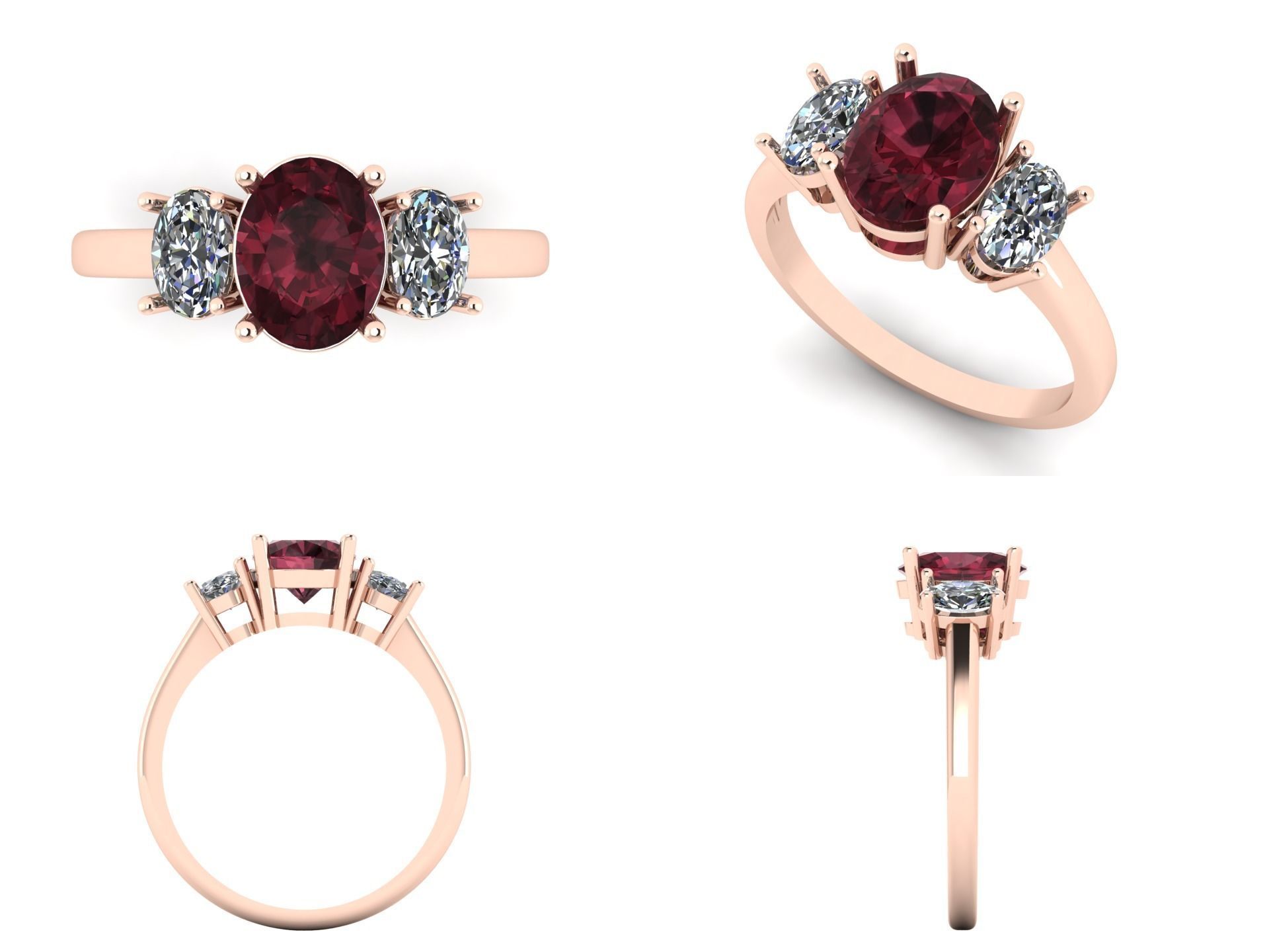 Ring  n 24 3D print model_3