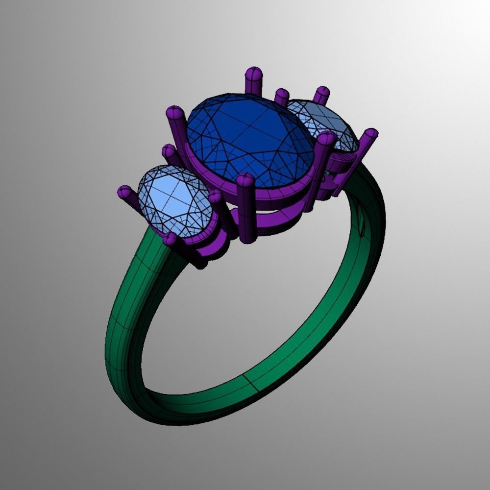 Ring  n 24 3D print model_2