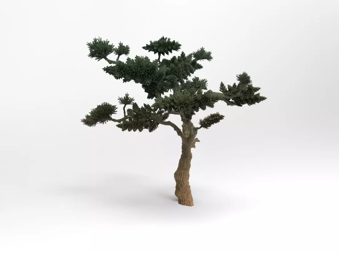 Pine Tree Free 3D print model_0
