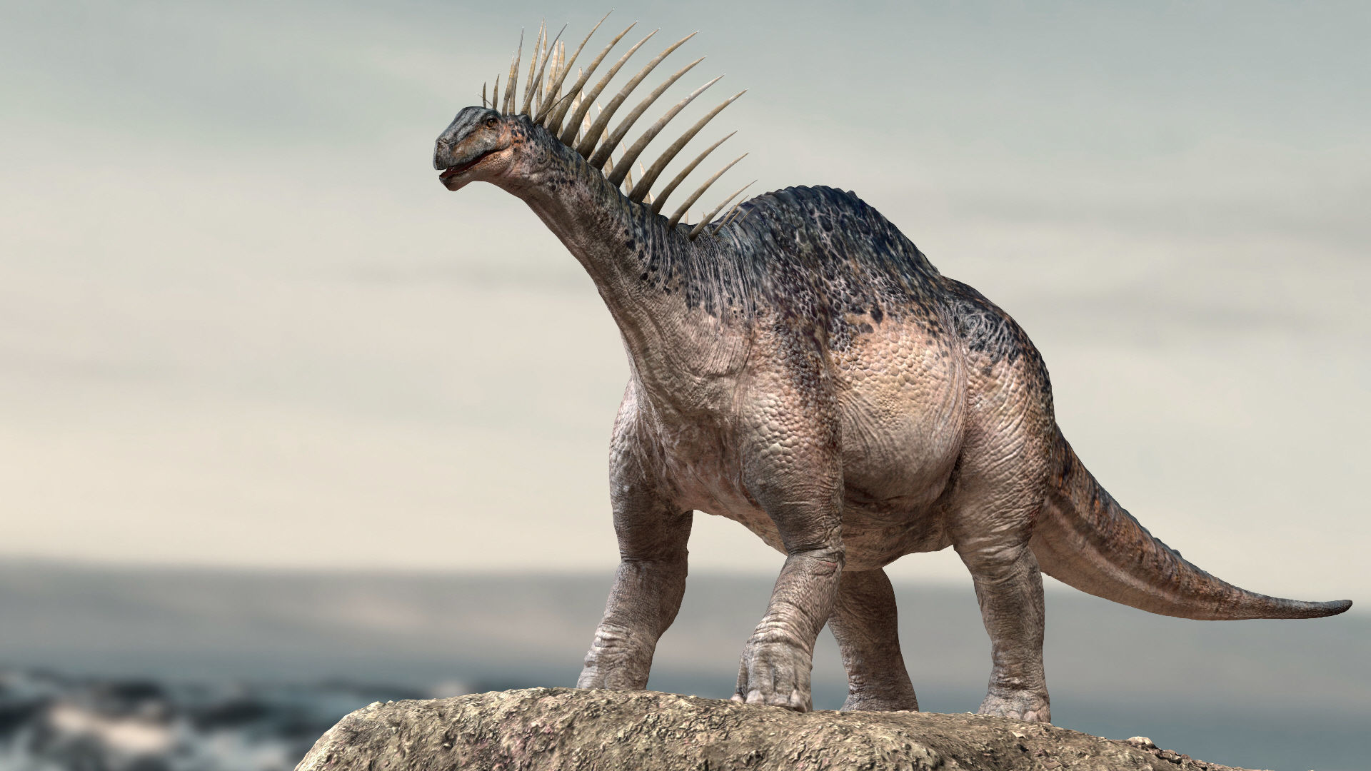 Amargasaurus 3D Rigged model Low-poly 3D model_1