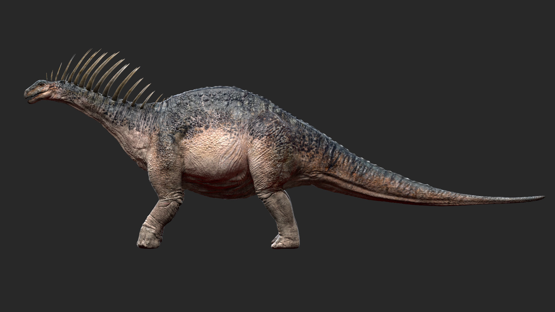 Amargasaurus 3D Rigged model Low-poly 3D model_13