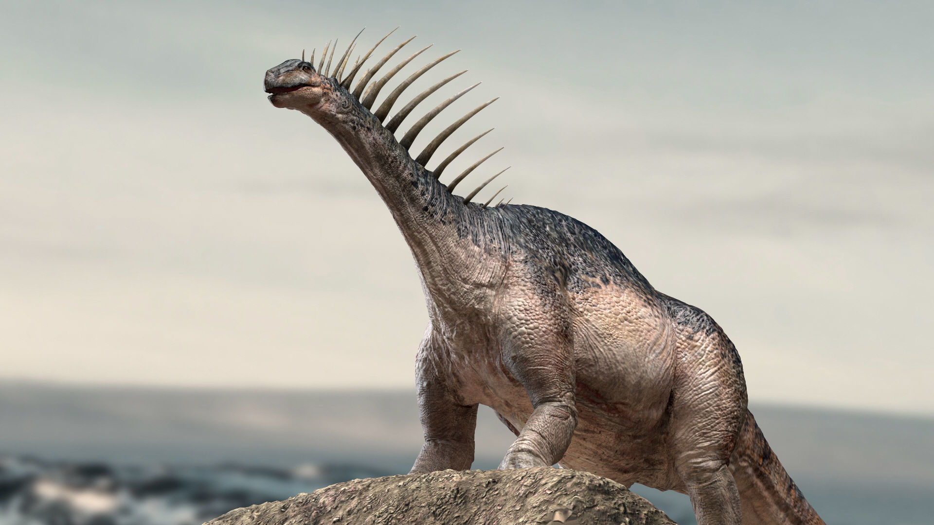 Amargasaurus 3D Rigged model Low-poly 3D model_3