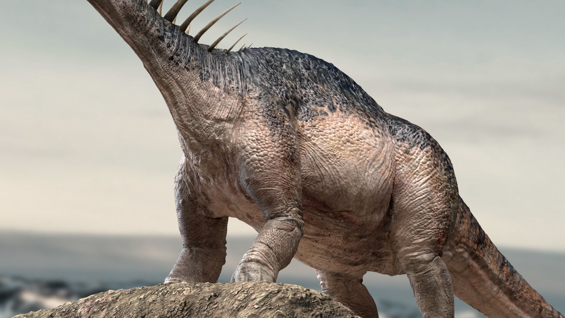 Amargasaurus 3D Rigged model Low-poly 3D model_11