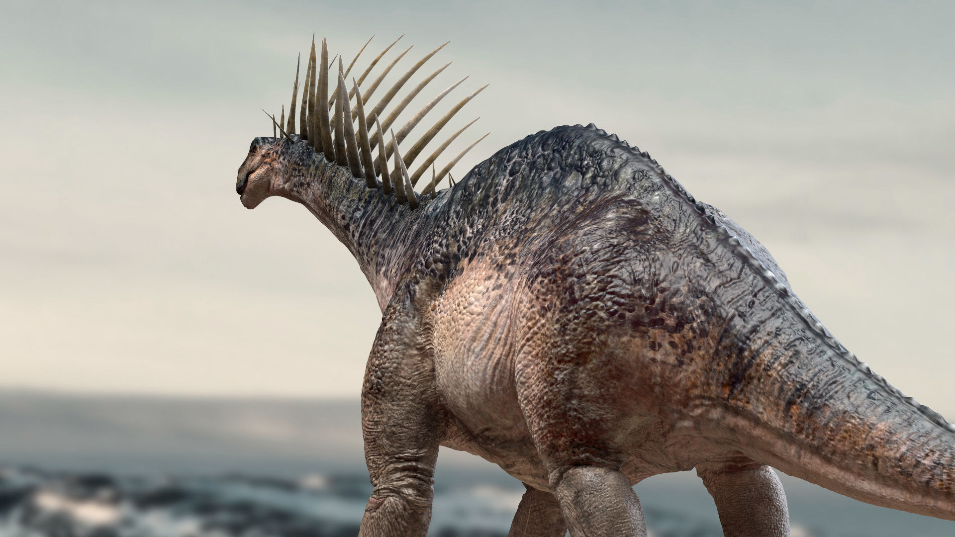 Amargasaurus 3D Rigged model Low-poly 3D model_4