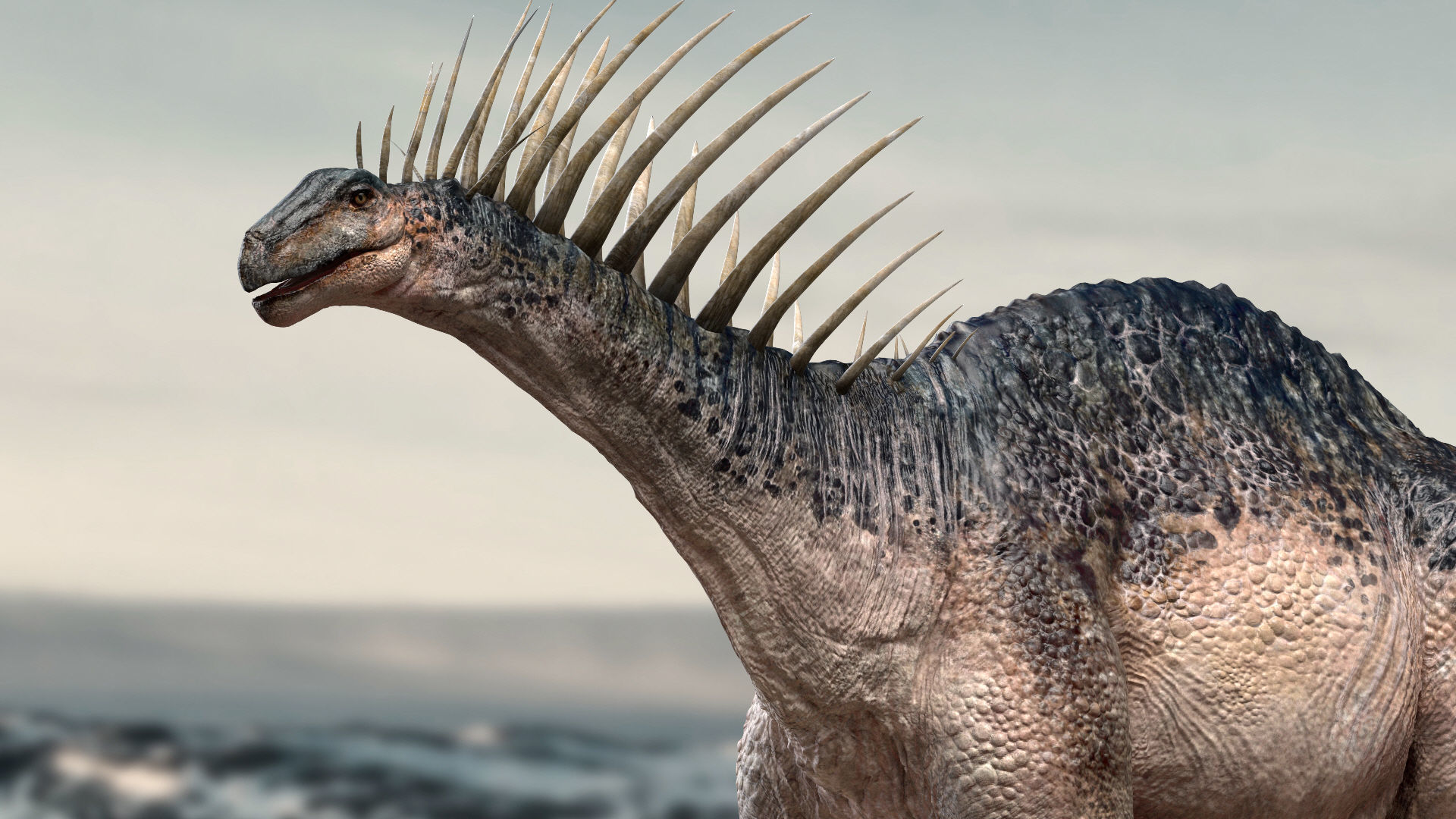 Amargasaurus 3D Rigged model Low-poly 3D model_2