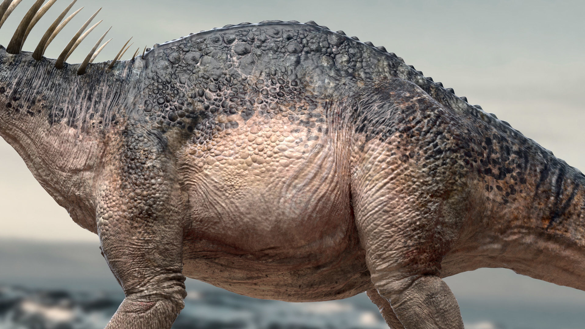 Amargasaurus 3D Rigged model Low-poly 3D model_5