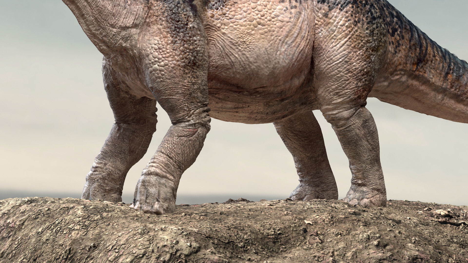 Amargasaurus 3D Rigged model Low-poly 3D model_7