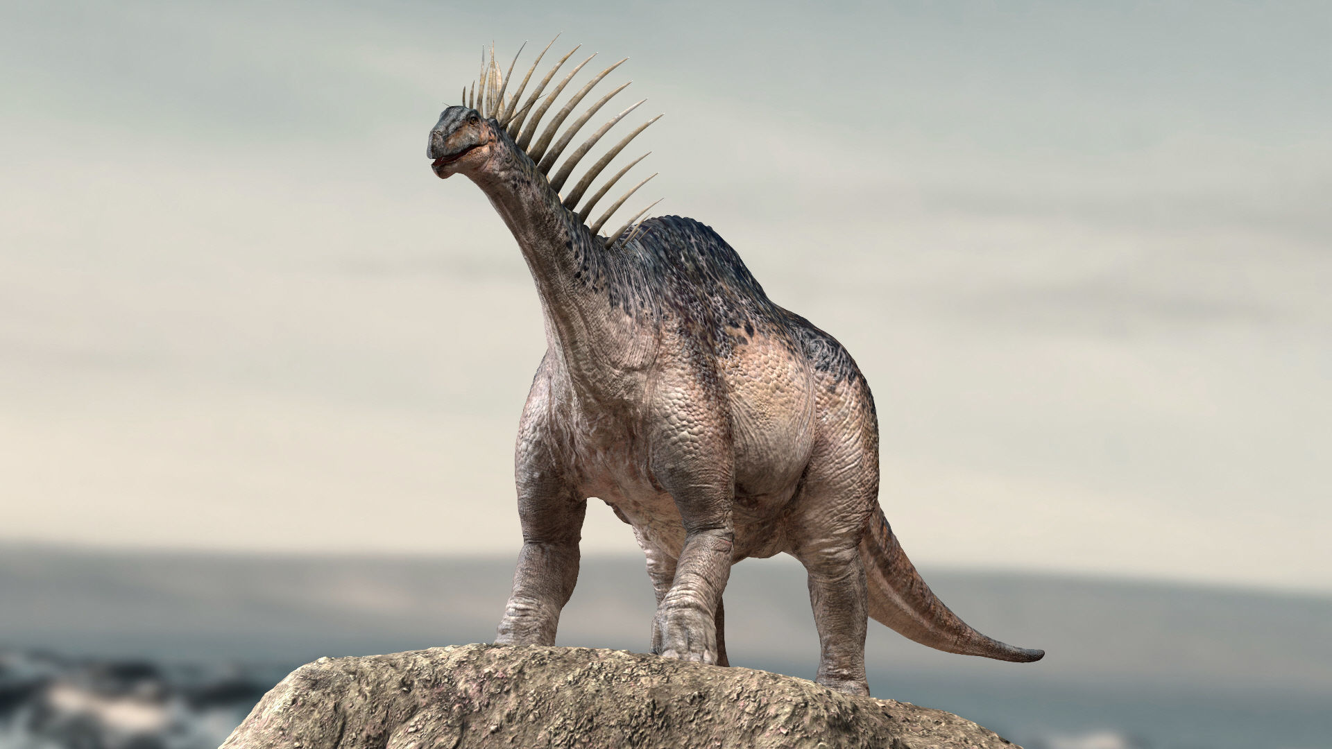 Amargasaurus 3D Rigged model Low-poly 3D model_10