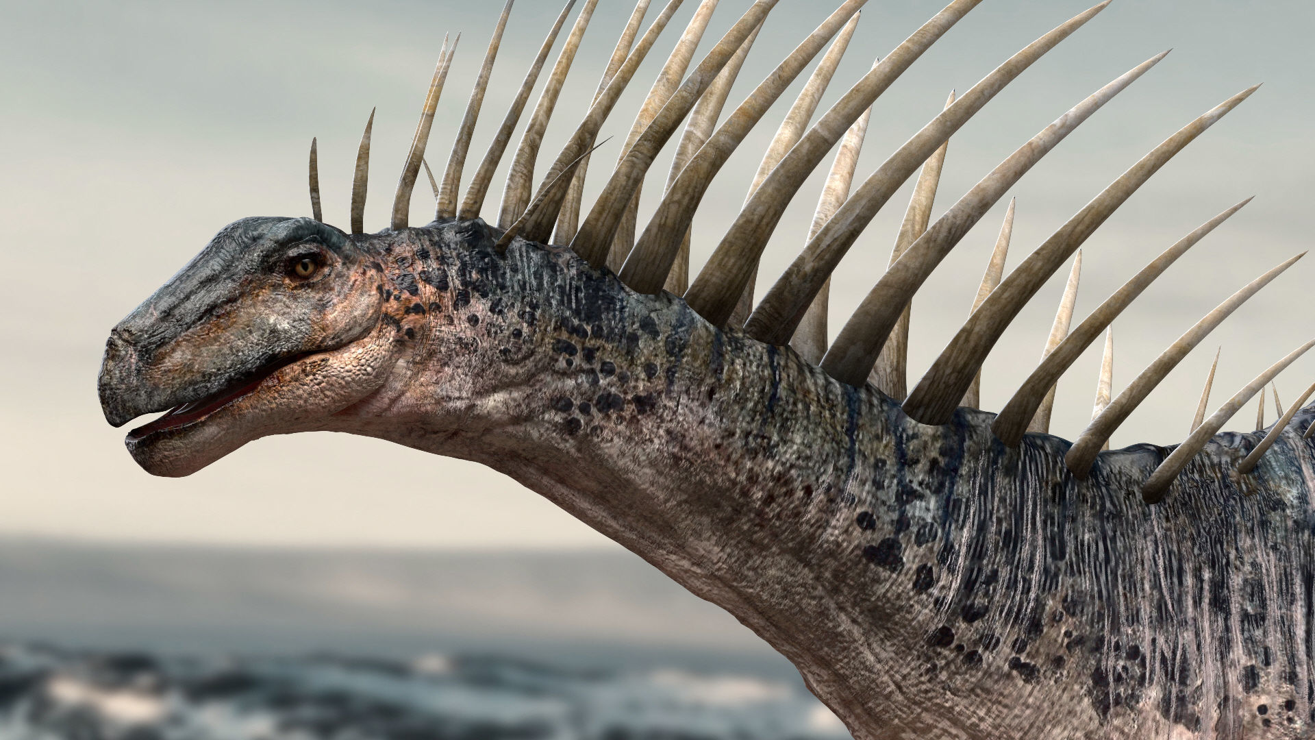 Amargasaurus 3D Rigged model Low-poly 3D model_8