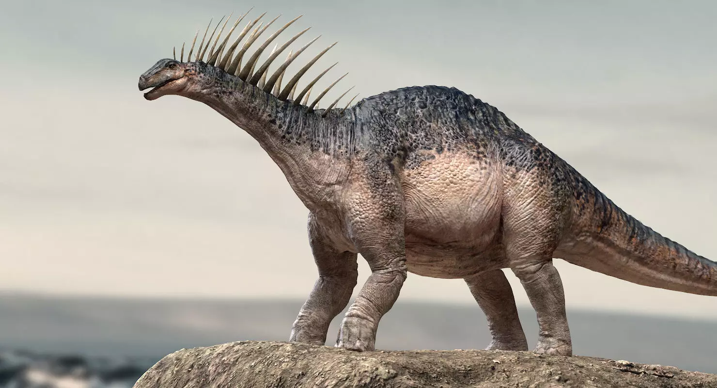 Amargasaurus 3D Rigged model Low-poly 3D model_0