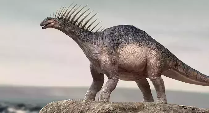 Amargasaurus 3D Rigged model Low-poly 3D model