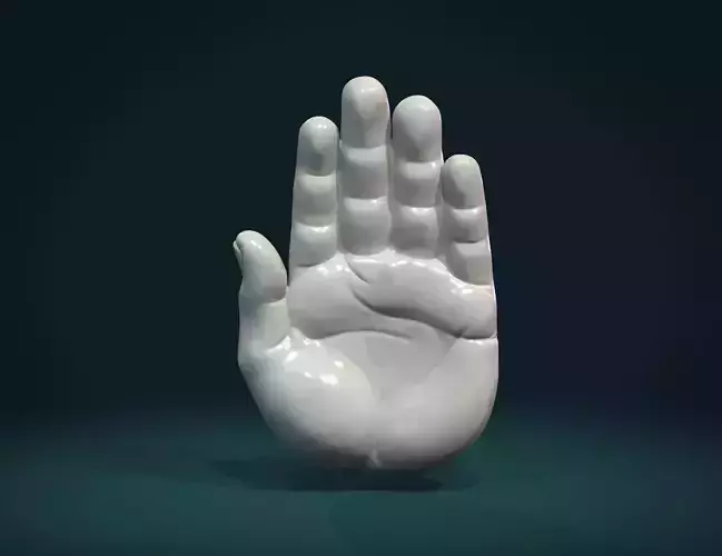 Palm Hand 3D print model