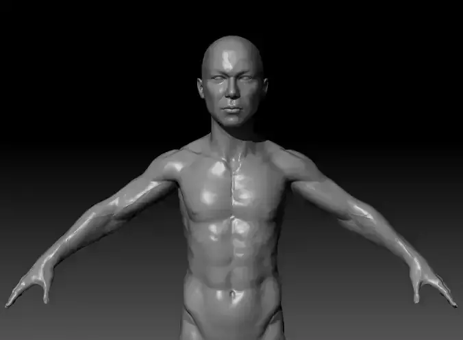 Human Asian Body Anatomy Base Mesh