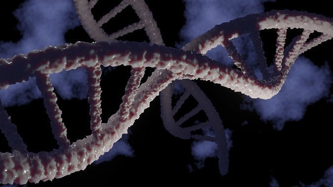 3d DNA strand high quality model 3D model