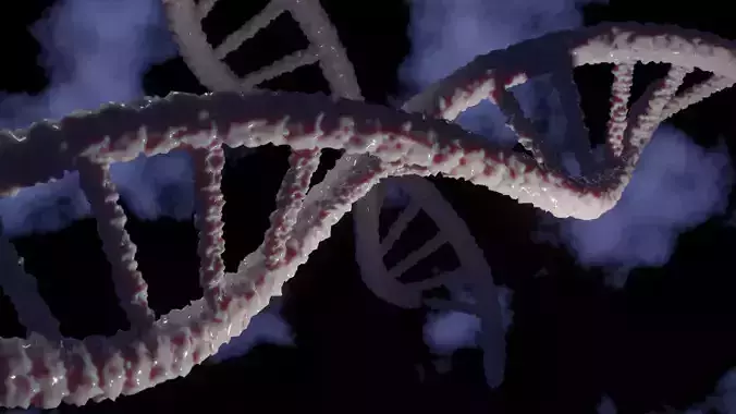 3d DNA strand high quality model