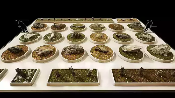 Scan Nature Pack - UE Project 4 10 Low-poly 3D model