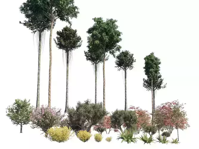 Plant Set different trees in row