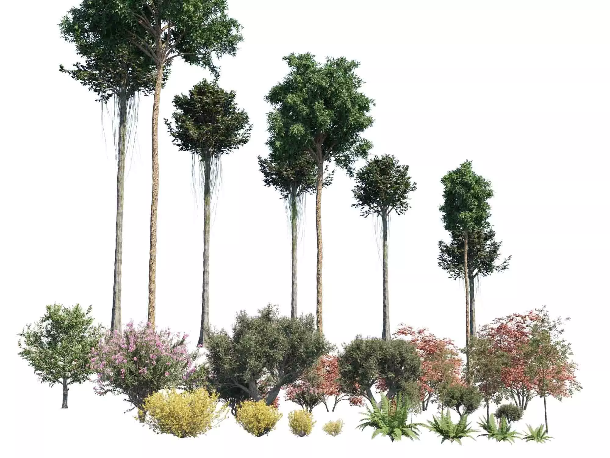 Plant Set different trees in row 3D model_0
