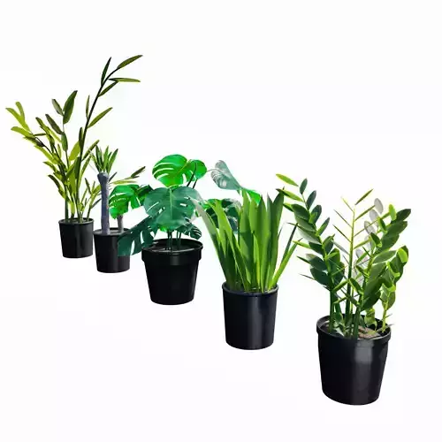 Plants set vol 1