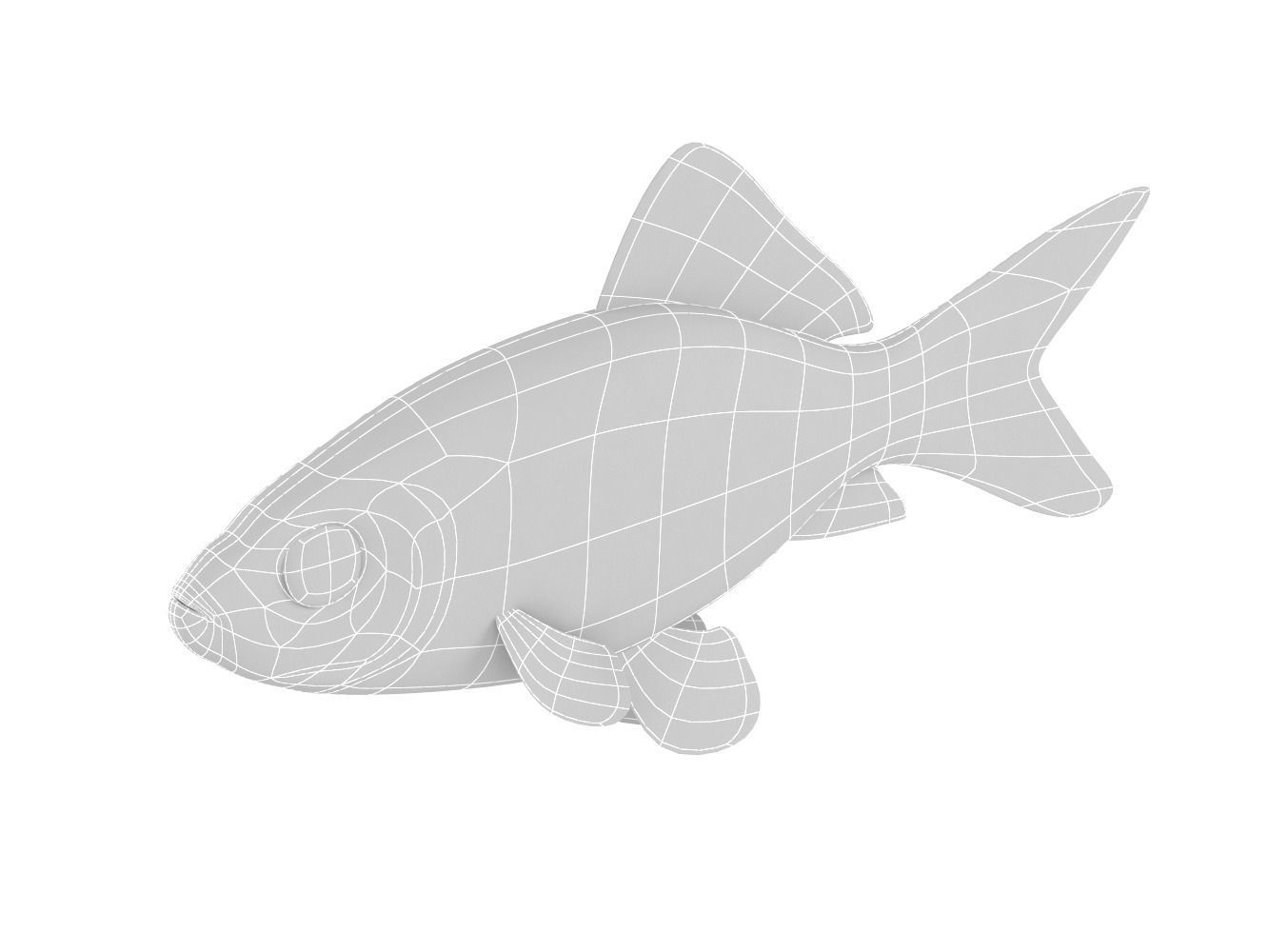 Goldfish 3D model_7